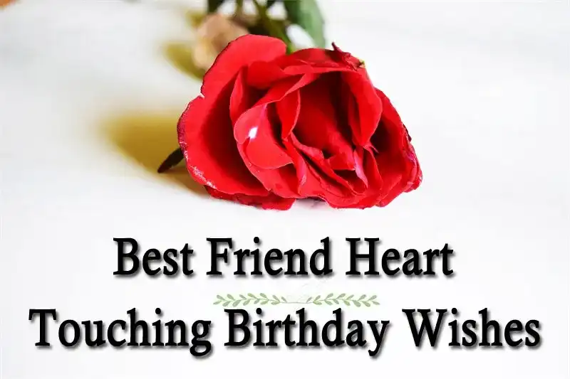 Best Friend Heart Touching Birthday Wishes