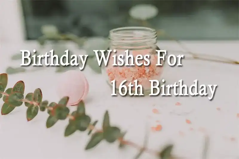 Birthday Wishes For 16th Birthday