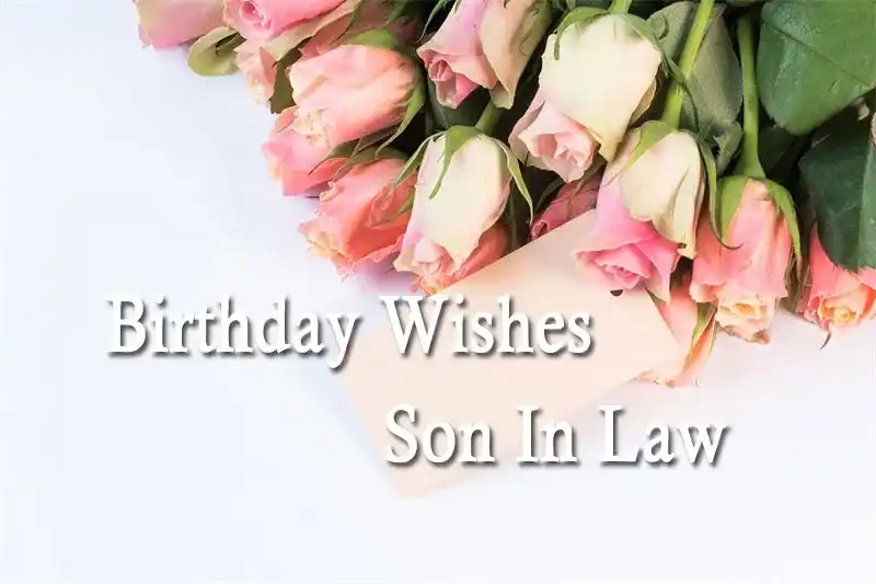 Birthday Wishes Son In Law