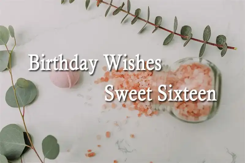 Birthday Wishes Sweet Sixteen