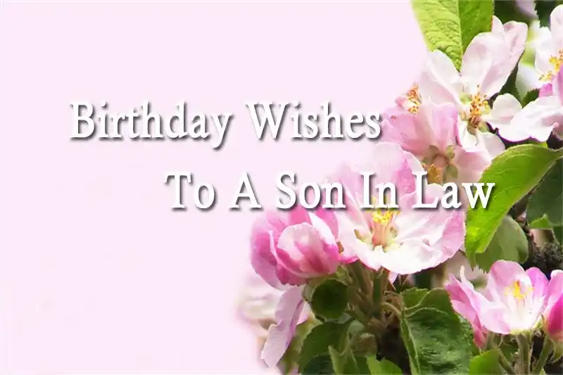 Birthday Wishes To A Son In Law