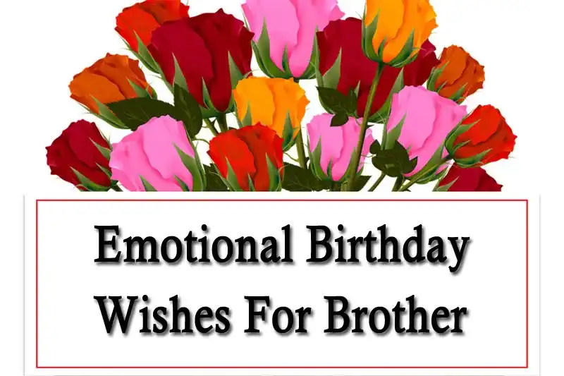 Emotional Birthday Wishes For Brother