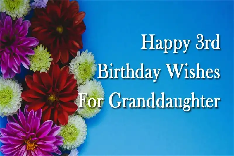 Happy 3rd Birthday Wishes For Granddaughter