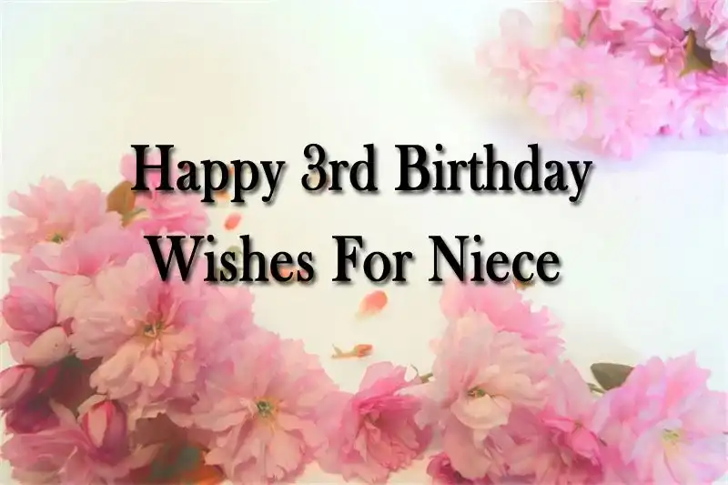 Happy 3rd Birthday Wishes For Niece