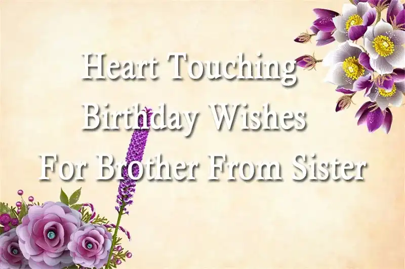 Heart Touching Birthday Wishes For Brother From Sister