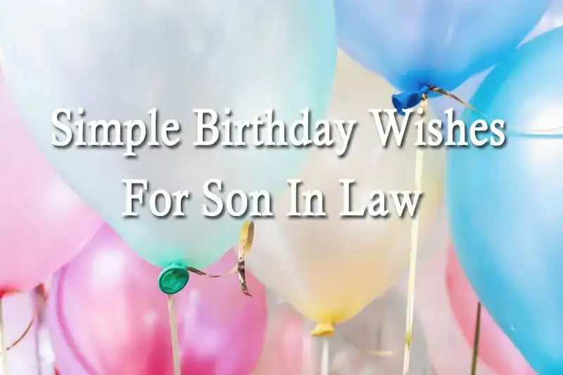Simple Birthday Wishes For Son In Law