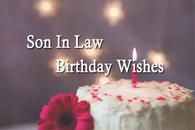Son In Law Birthday Wishes