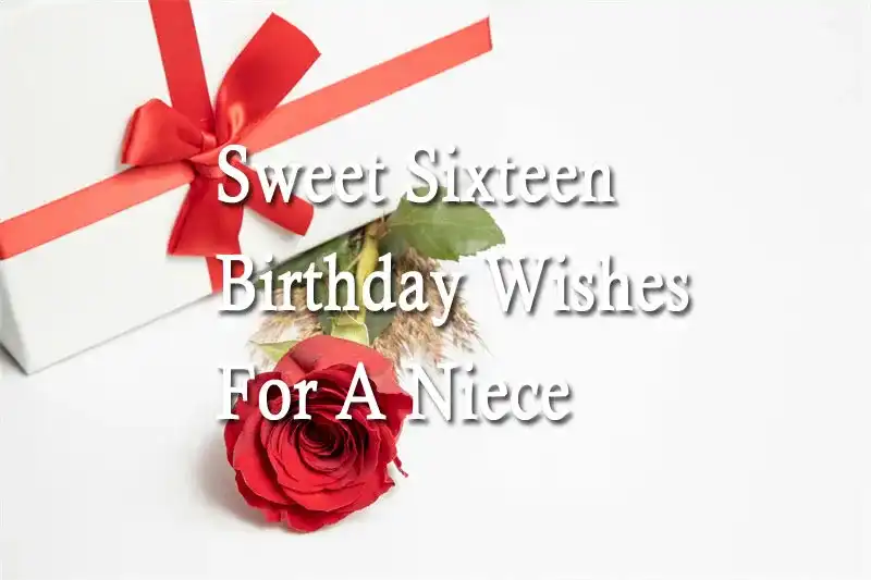 Sweet Sixteen Birthday Wishes For A Niece