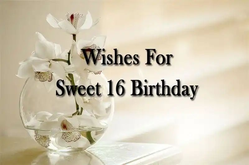 Wishes For Sweet 16 Birthday